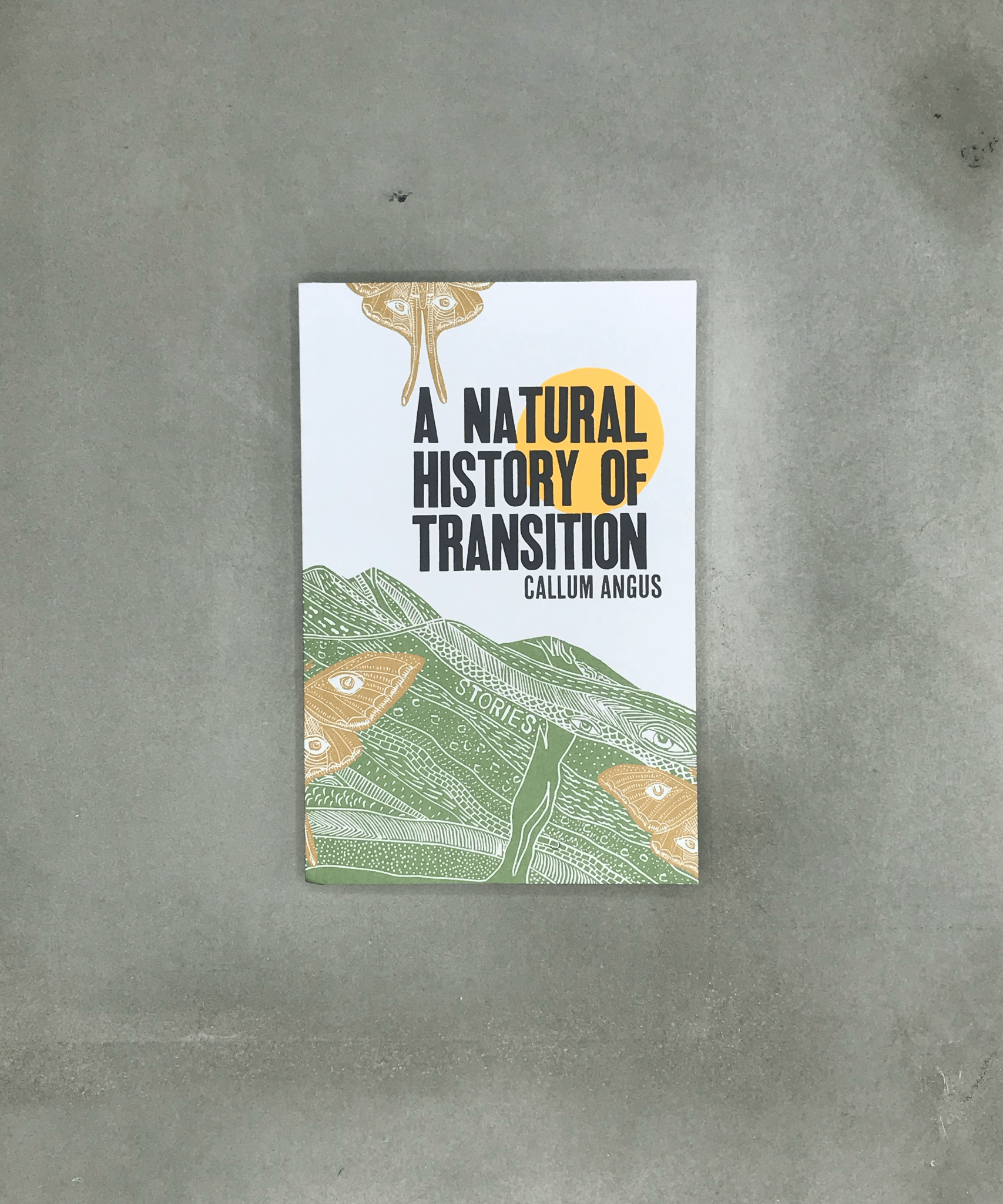 A Natural History of Transition - art writing - Artist Book - art - TACO! - Metonymy Press