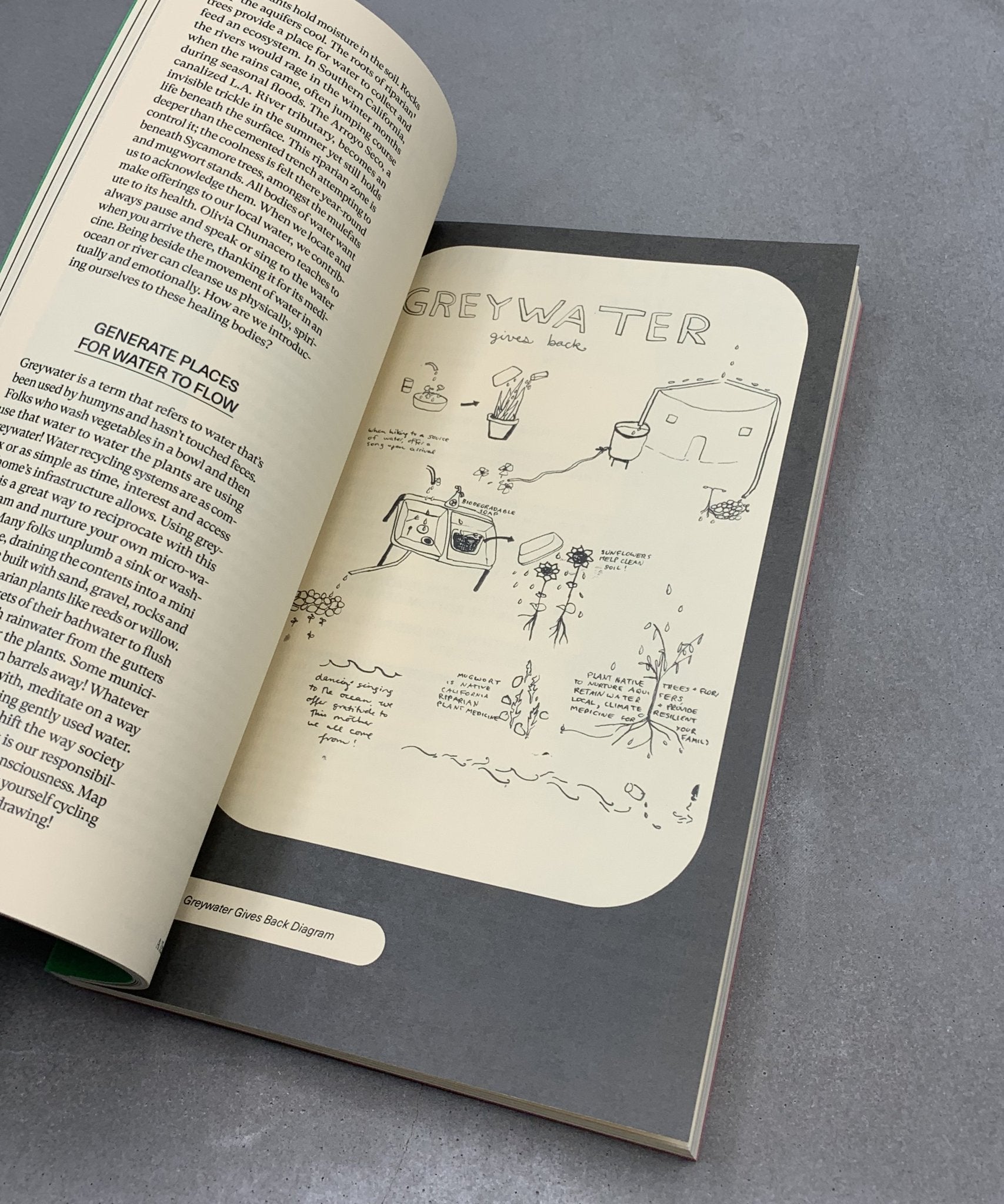 A Textbook for the Ecocene - colonialism - ecology - climate - TACO! - Co—Conspirator Press