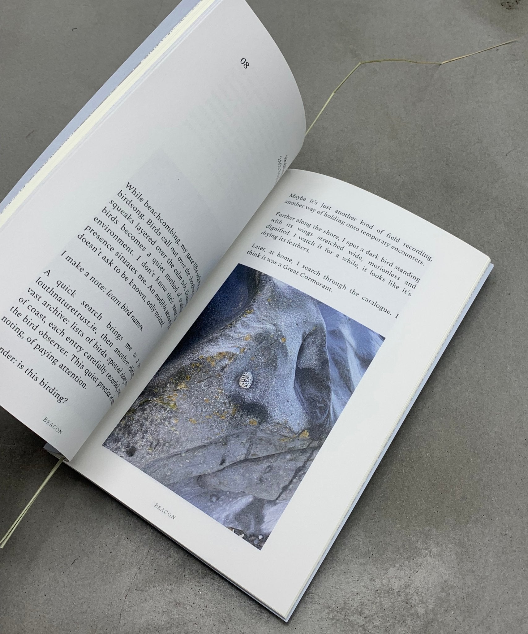 Beacon - art writing - Artist Book - art - TACO! - Muine Bheag