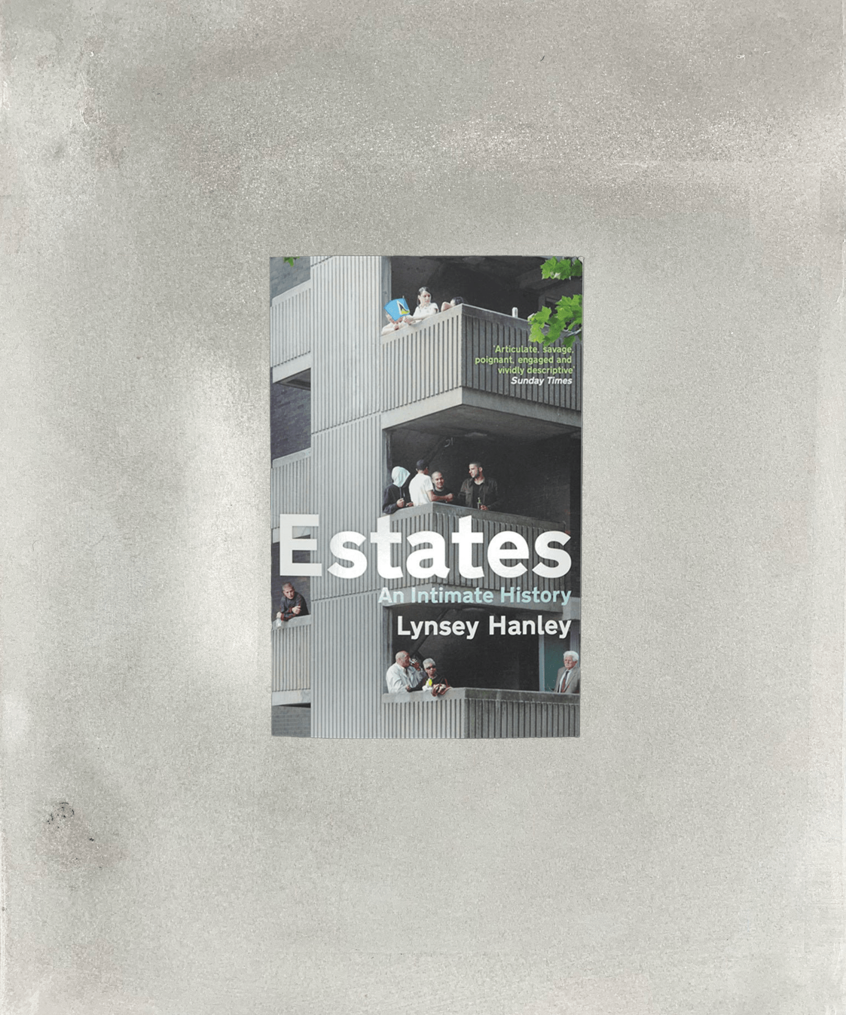 Estates: An Intimate History-housing-Thamesmead-Council Estate-TACO!-Lynsey Hanley