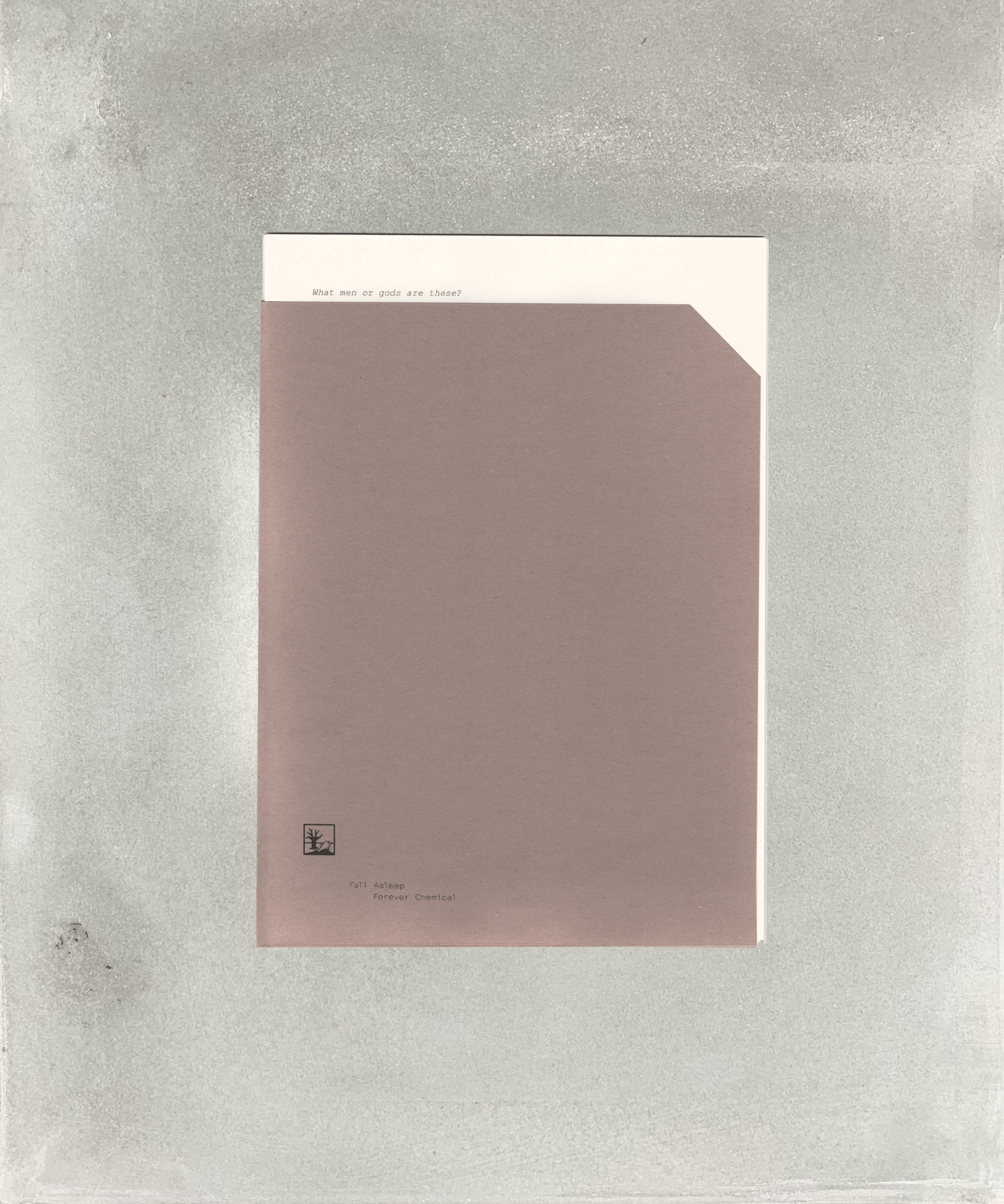 Fall Asleep, Forever Chemical - art writing - audio essay - archive - TACO! - Physical Interface