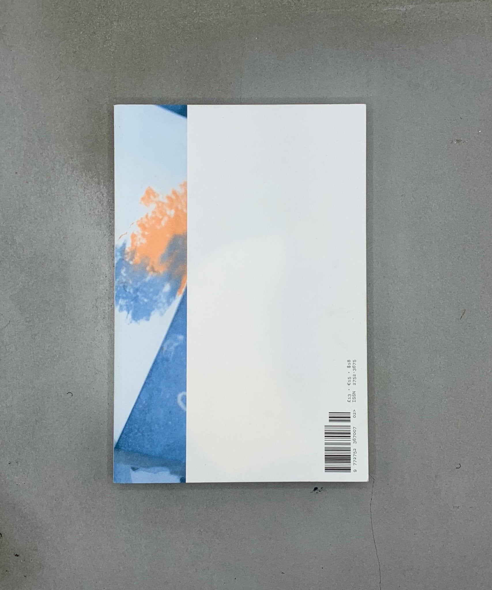 Fieldnotes 2 - artist writing - writing - art writing - TACO! - Fieldnotes
