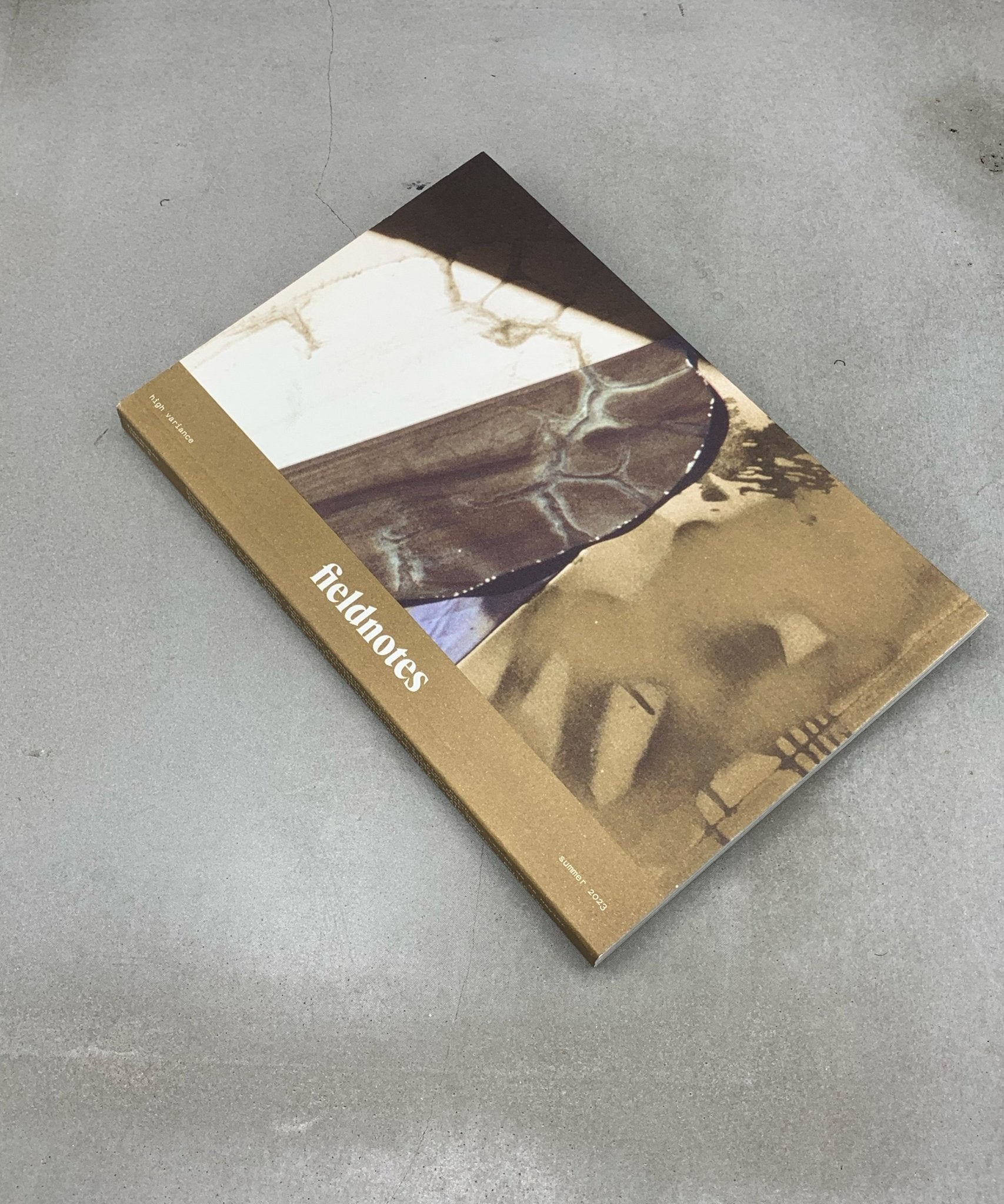 Fieldnotes 5 - fiction - fieldnotes - experimental - TACO! - Fieldnotes