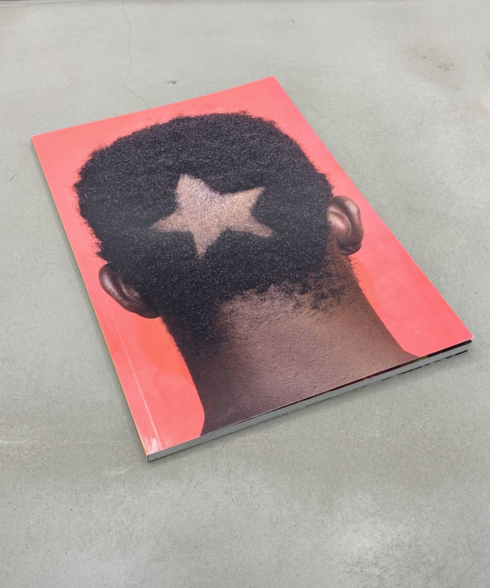 Gold Dust - Artist Book - Artist Edition - Africa - TACO! - Village