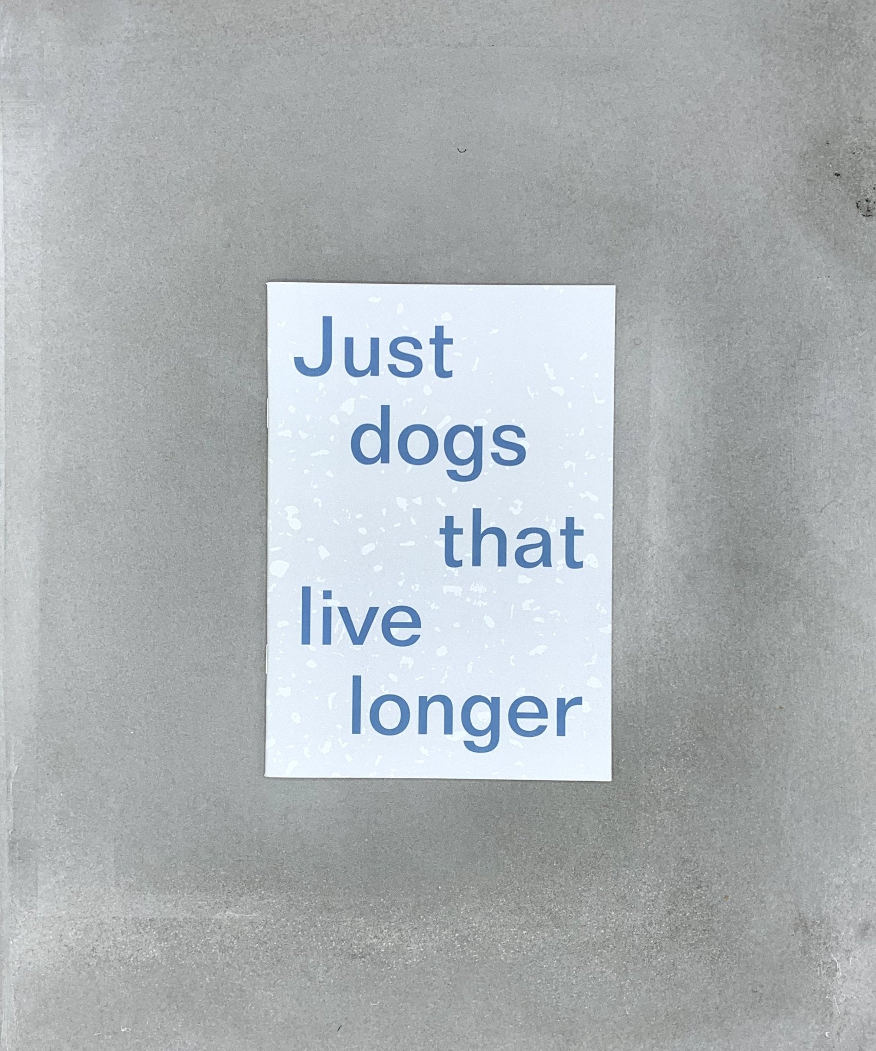 Just Dogs That Live Longer - Design - interview - art - TACO! - Pink Sands