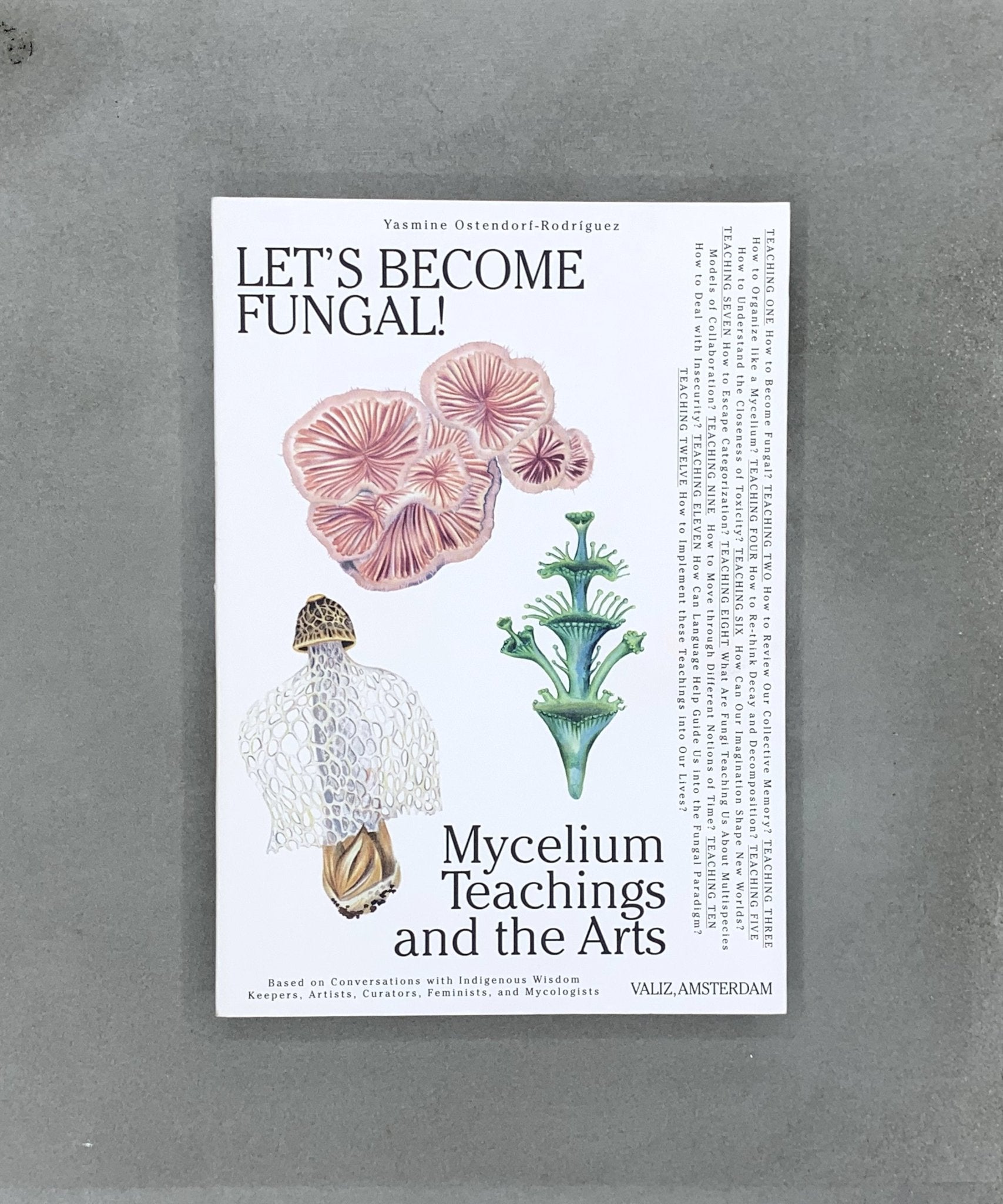 Let’s Become Fungal! Mycelium Teachings & the Arts - climate change - ecology - art - TACO! - Valiz