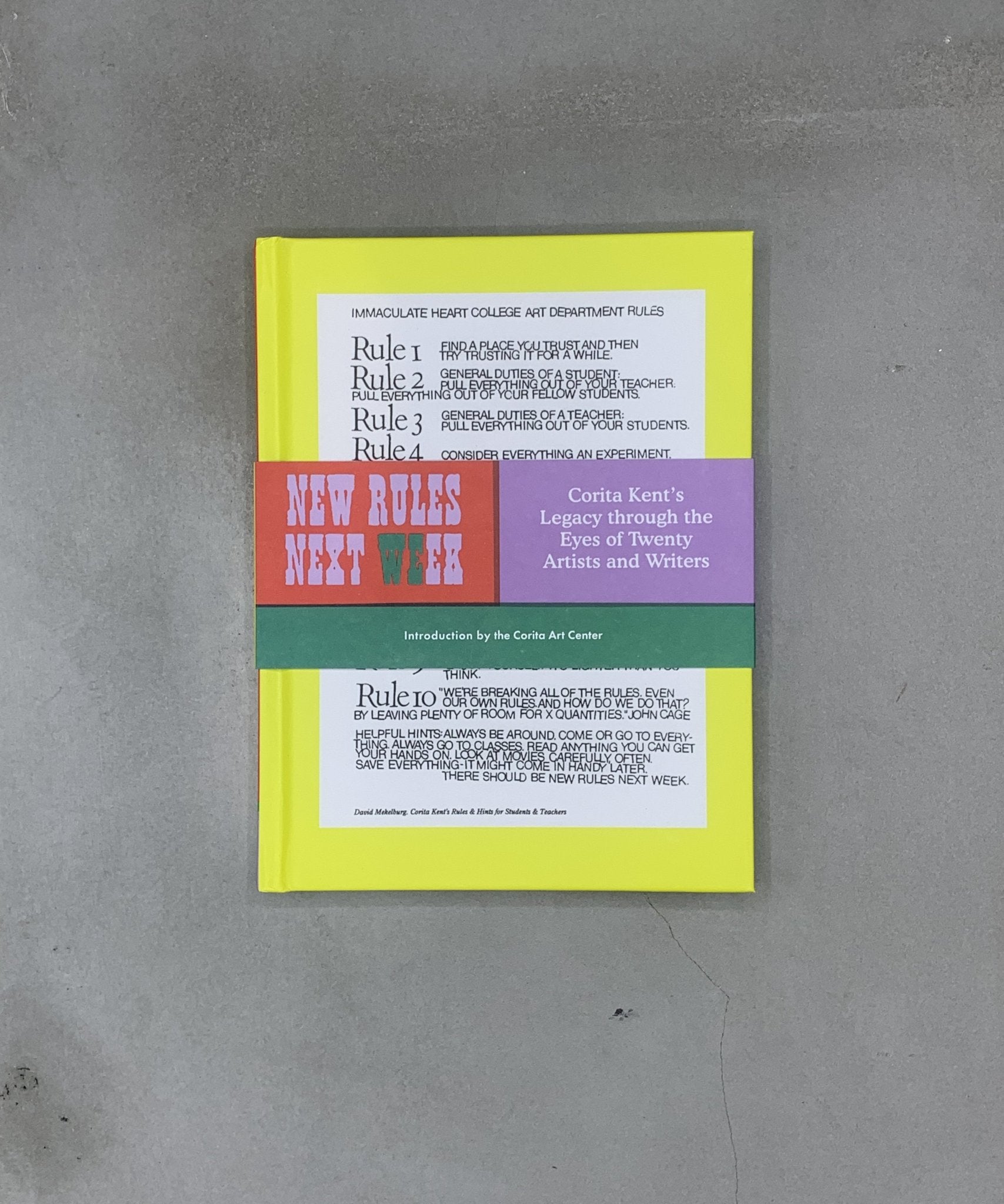 New Rules Next Week - Design - Graphic Design - children - TACO! - Chronicle Books