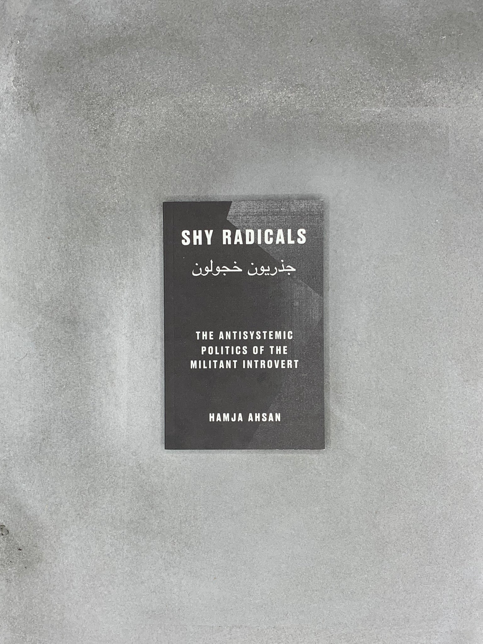 Shy Radicals: The Antisystemic Politics of the Militant Introvert