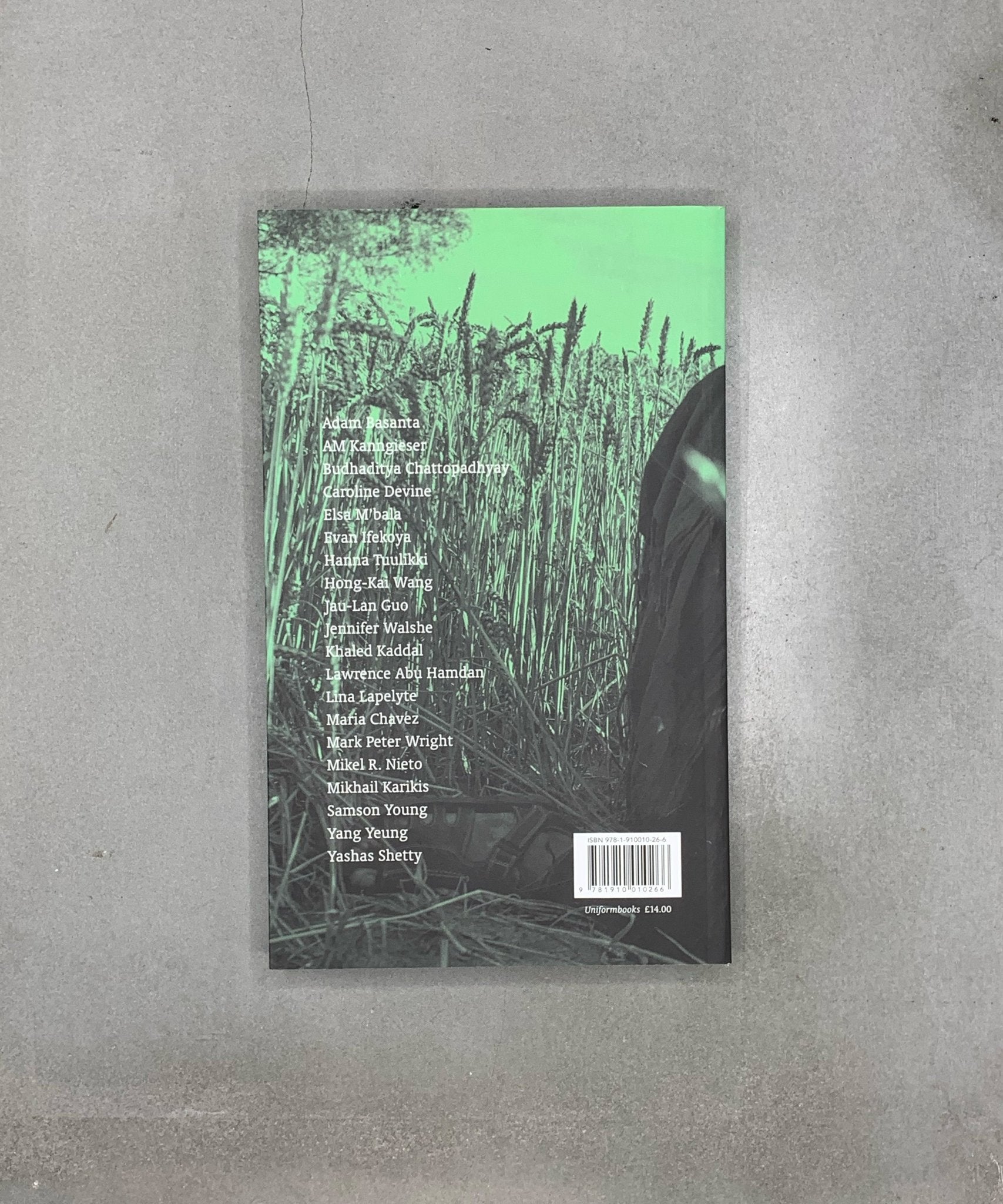 Sound Arts Now - Sound Art - sound - TACO! - Uniform Books