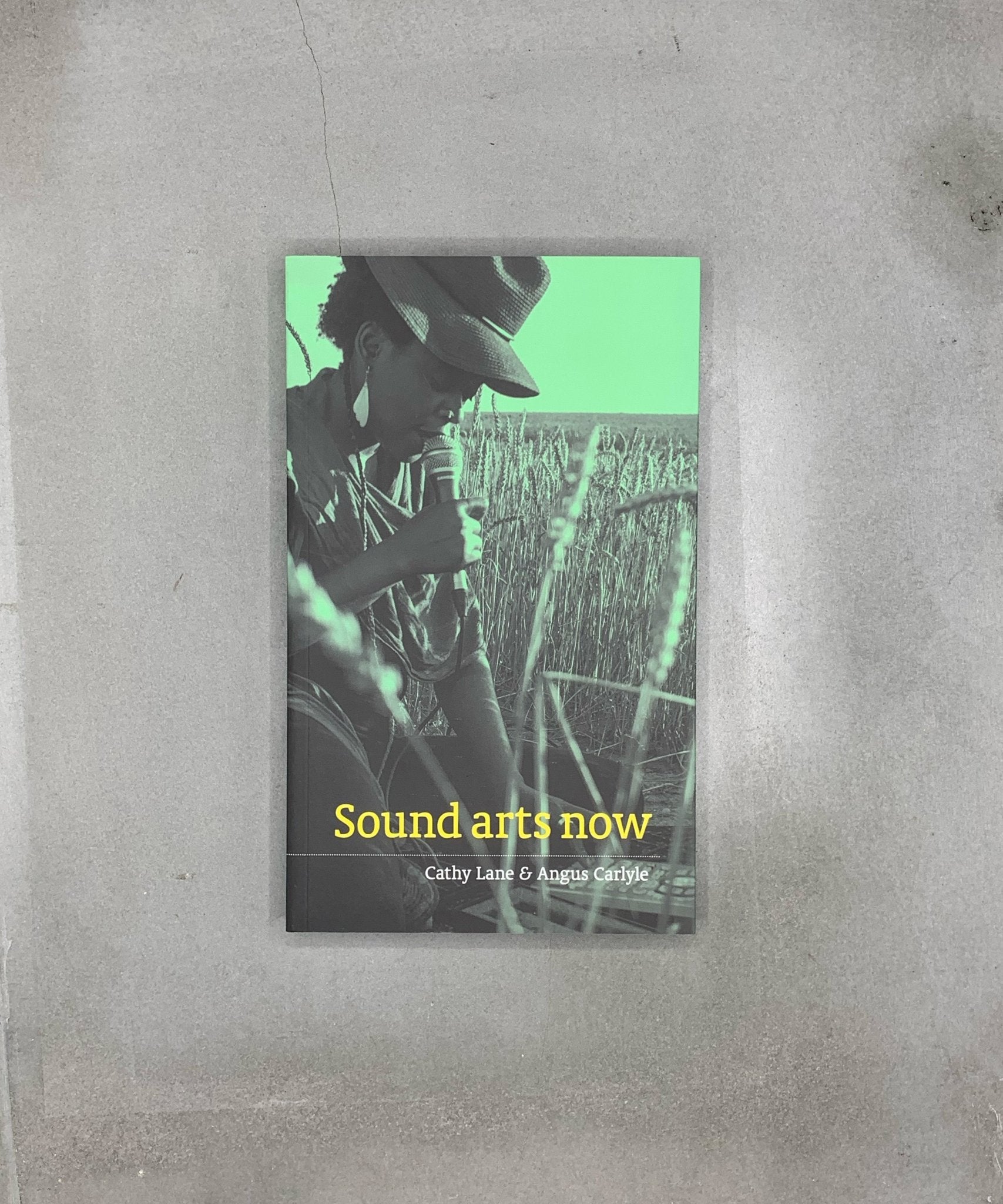 Sound Arts Now - Sound Art - sound - TACO! - Uniform Books