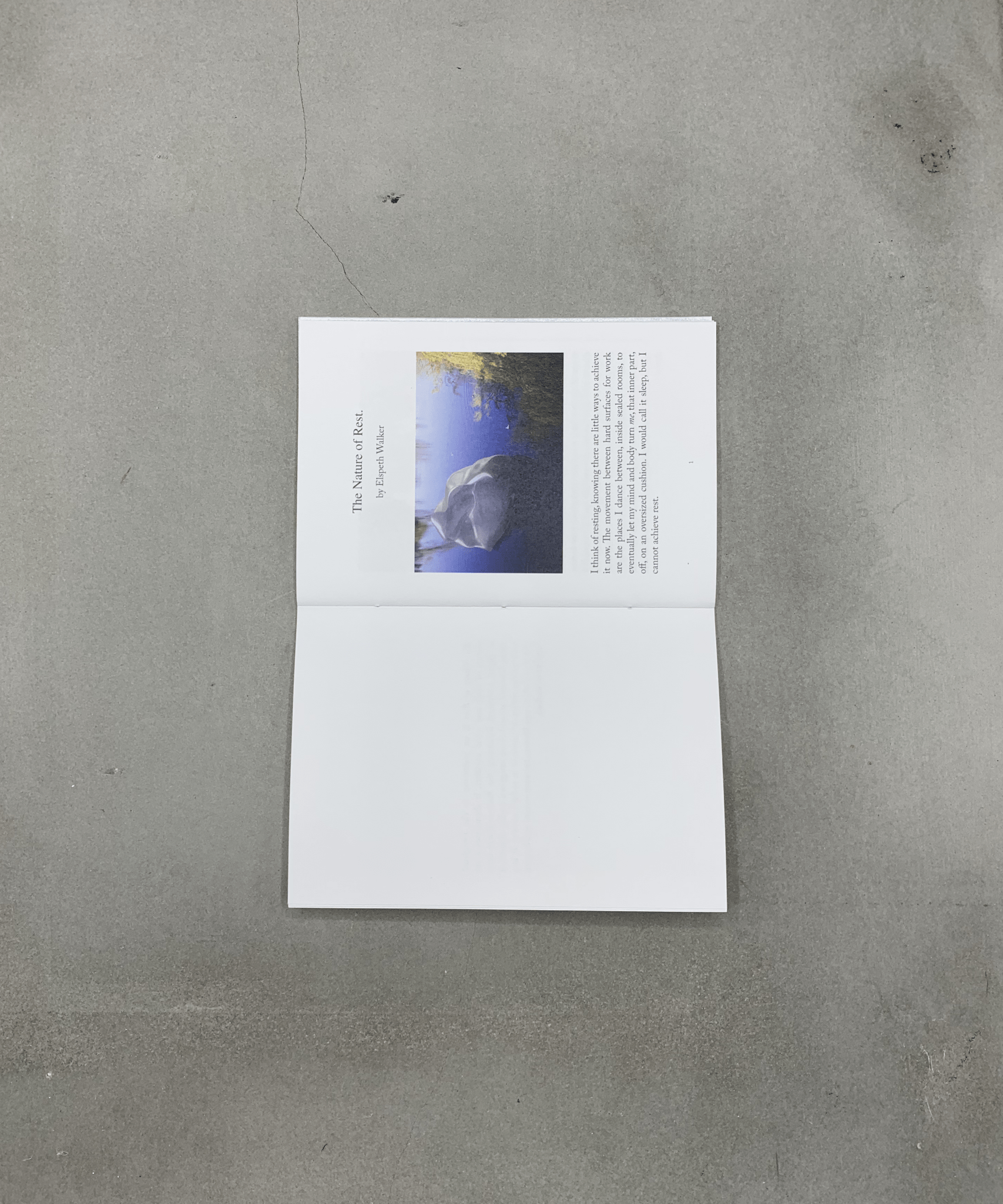 The Nature of Rest - art writing - Artist Book - art - TACO! - Chun Ning Yiu and Elspeth Walker