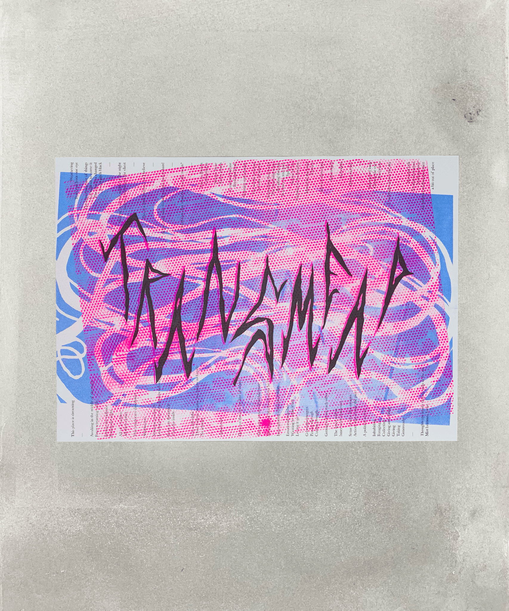 TRANSMEAD - riso - risograph - queer - TACO! - TACO!