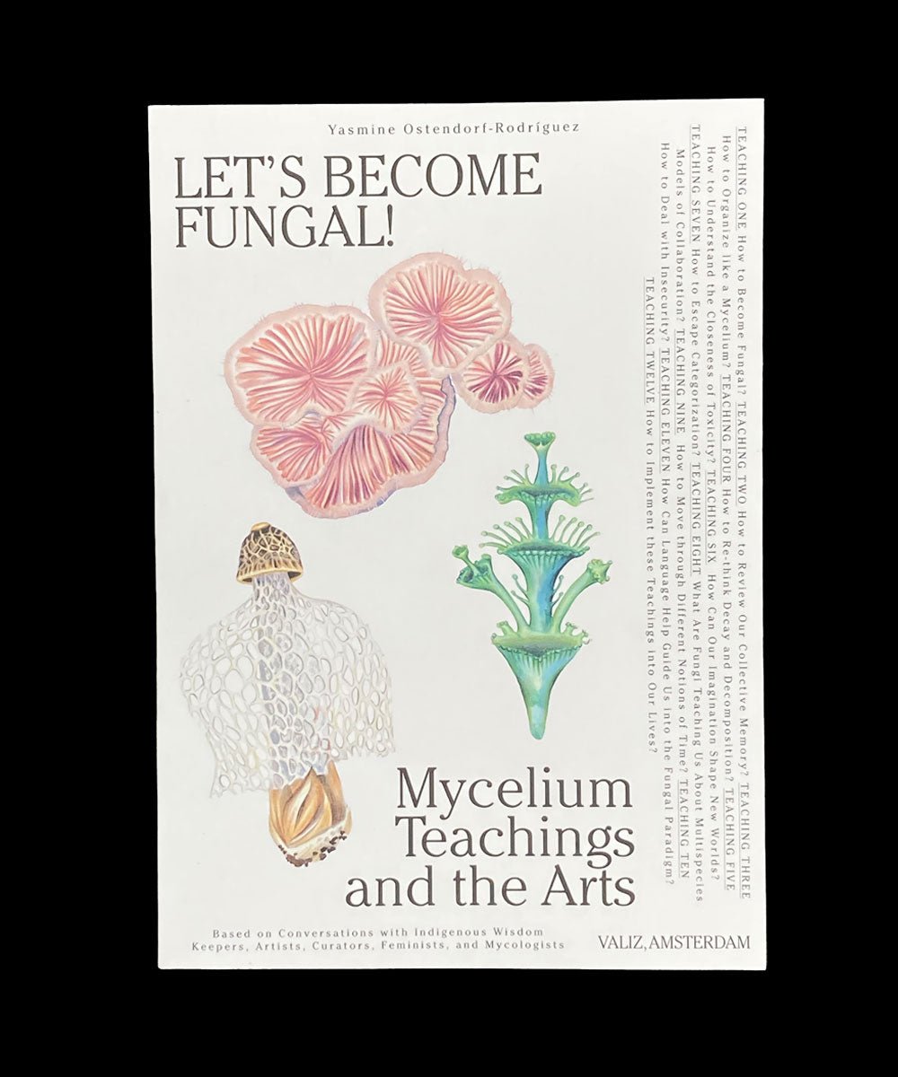 Let’s Become Fungal! Mycelium Teachings & the Arts-climate change-ecology-art-TACO!-Valiz