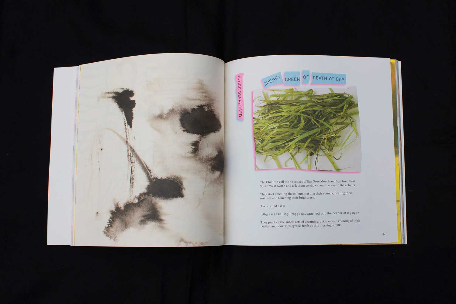 The Brightness of JuJu-Artist Book-children-art-TACO!-TACO!